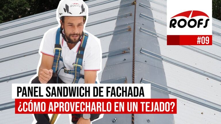 La eficiente y duradera chapa sanguis para tejados